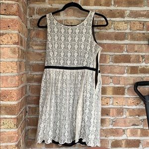 lace navy & white dress